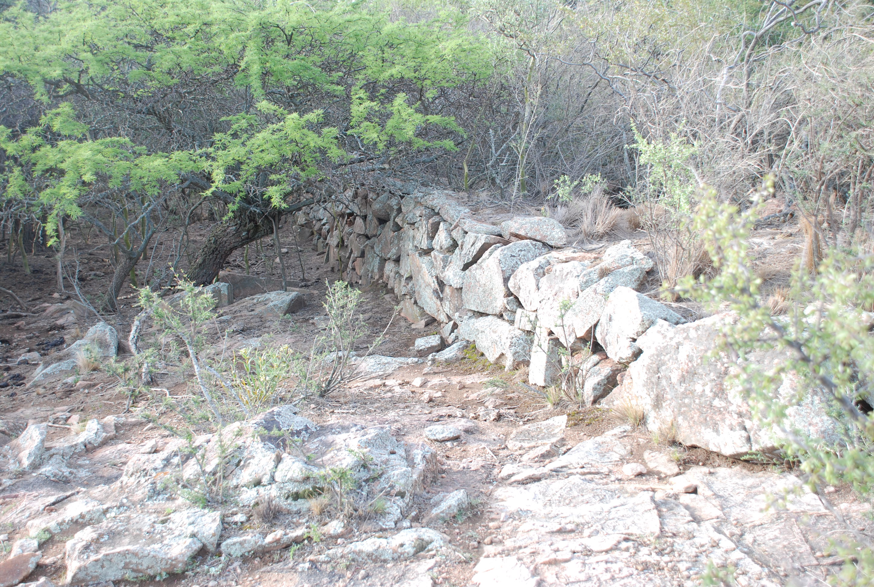 Paisaje de la región pampeana